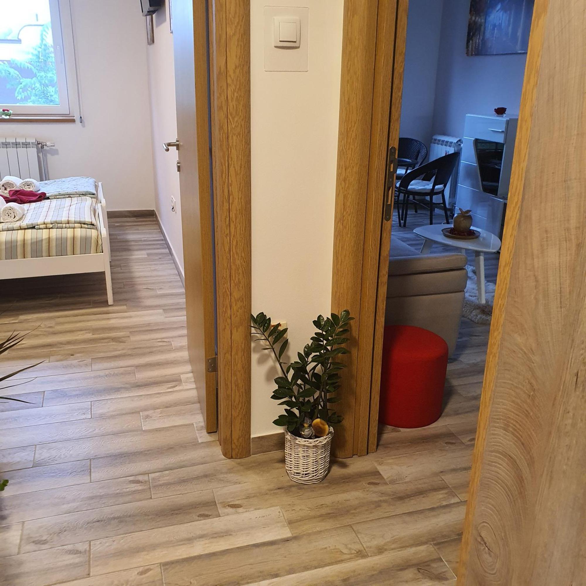 Apartment Rea Суботица Экстерьер фото
